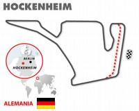 pelicula F1 2008 GP de Alemania