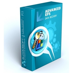 pelicula Advanced EFS Data Recovery Pro 4 02