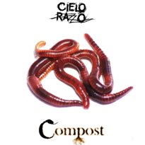 pelicula Cielo Razzo – Compost [2010] [Ciclo Música Argentina]