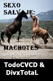 pelicula Sexo Salvaje: Machotes