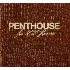 pelicula VA-Penthouse – La Nuit Luxure