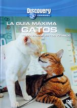 pelicula La Guia Máxima: Gatos