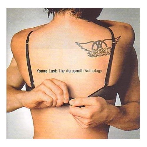 pelicula Aerosmith – Let The Music Do The Talking