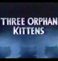 pelicula Disney.Los tres gatitos huerfanos