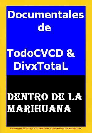 pelicula Dentro De La Marihuana