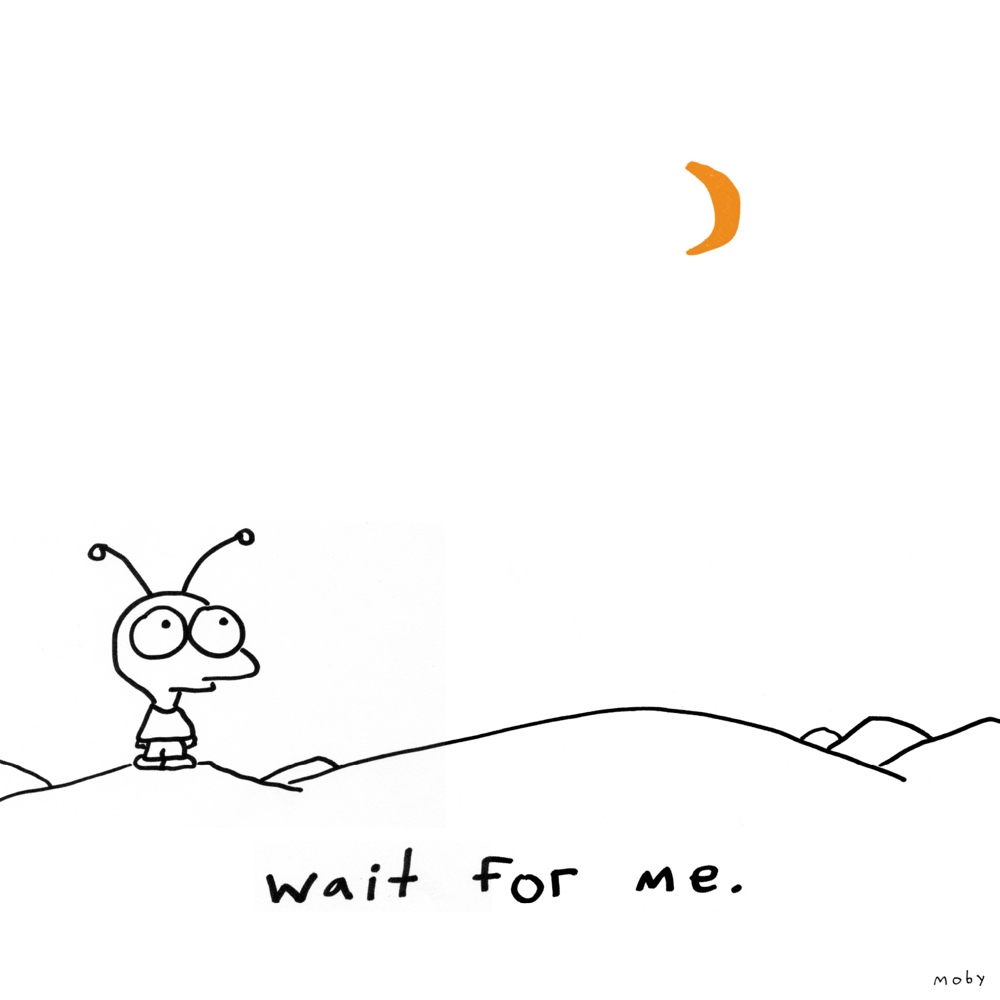 pelicula Moby – Wait For Me –