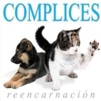 pelicula Complices-Reencarnacion-2009