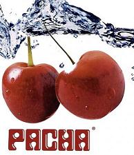 pelicula VA-Pacha Ibiza VIP Vol  3