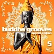 pelicula VA-Buddha Grooves Vol  5 Special Edition