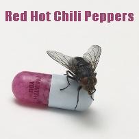 pelicula Red Hot Chili Peppers – I’m with you [2011]