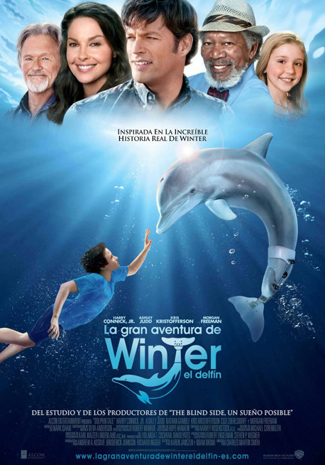 pelicula La Gran Aventura De Winter El Delfín