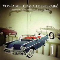 pelicula Vos sabés (Tributo a Fabulosos Cadillacs vol.1) [Música Argentina]