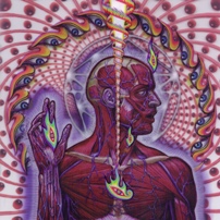 pelicula Tool – Lateralus [Rock Alternativo]