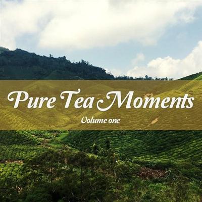 pelicula VA – Pure Tea Moments Vol 1 Smooth Chillout and Lounge Grooves (2015)