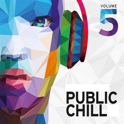 pelicula VA – Public Chill Vol. 5 (2015)