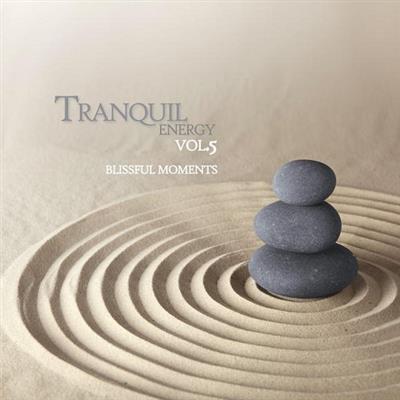 pelicula Tranquil Energy Vol 5 Blissful Moments