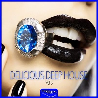 pelicula Delicious Deep House, Vol 3 (2015)