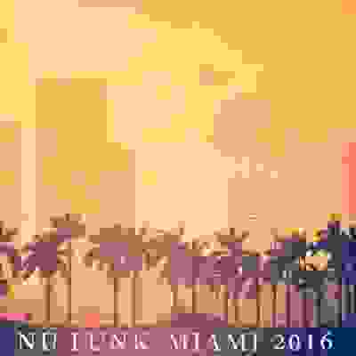 pelicula Nu Funk Miami 2016