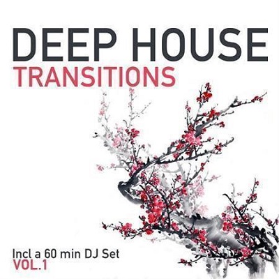 pelicula Deep House Transitions Vol.1