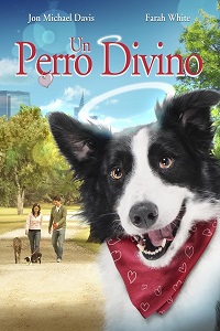 pelicula Un Perro Divino