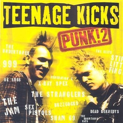 pelicula Teenage Kicks Punk! 2