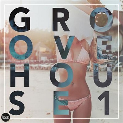 pelicula Groove House 1