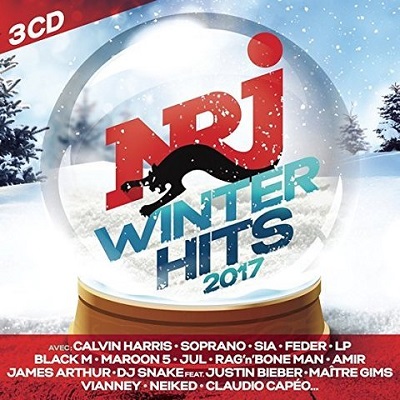 pelicula Nrj Winter Hits 2017-TDG