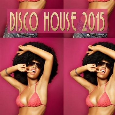 pelicula Disco House 2015