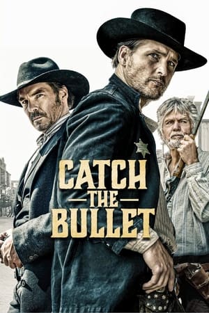 pelicula Catch the Bullet