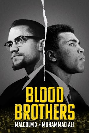 pelicula Hermanos de sangre: Malcolm X y Muhammad Ali