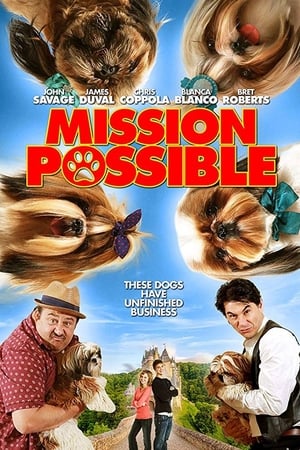 pelicula Mission Possible