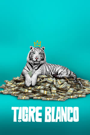 pelicula Tigre Blanco