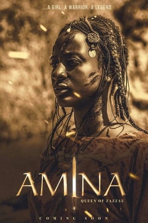 pelicula Amina