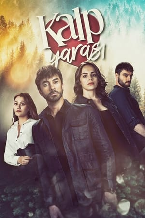 Serie Kalp Yarası