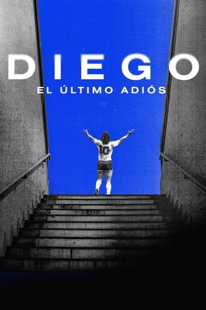 pelicula Diego, El último adiós