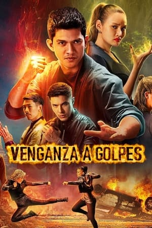 pelicula Venganza a golpes