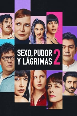 pelicula Sexo, pudor y lágrimas 2