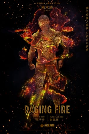 pelicula Raging Fire