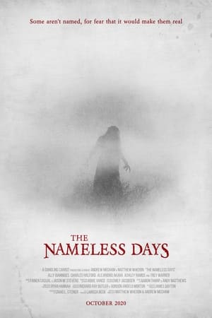 pelicula The Nameless Days