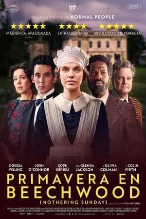 pelicula Amores prohibidos