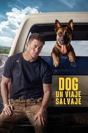 pelicula Dog: Un viaje salvaje