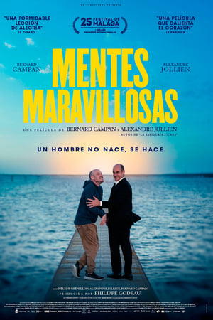 pelicula Mentes maravillosas