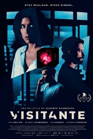 pelicula Visitante