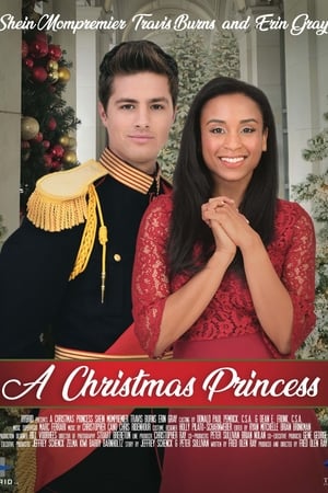 pelicula De Chef a Princesa en Navidad