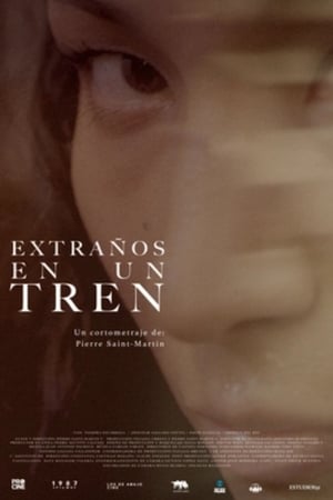 pelicula Extraños en un tren