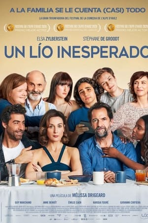 pelicula Un lío inesperado