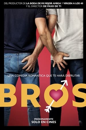 pelicula Bros: Más que amigos