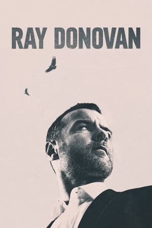 pelicula Ray Donovan, la película