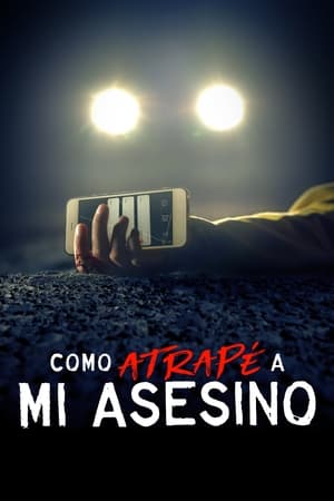 Serie Cómo atrapé a mi asesino