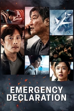 pelicula Emergency Declaration